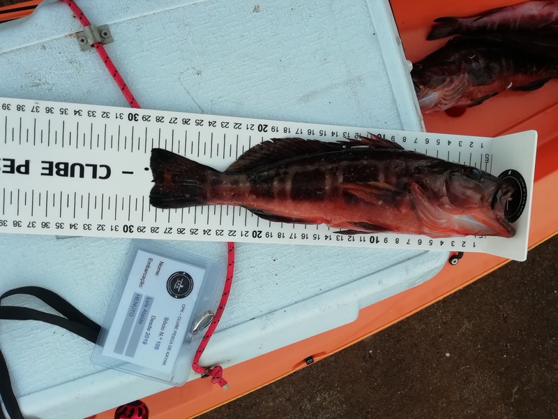 Fish Measure Picture